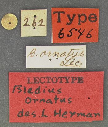 Media type: image;   Entomology 6546 Aspect: labels